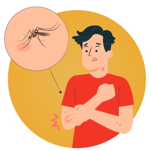 proteccion-contra-dengue-img1a-min