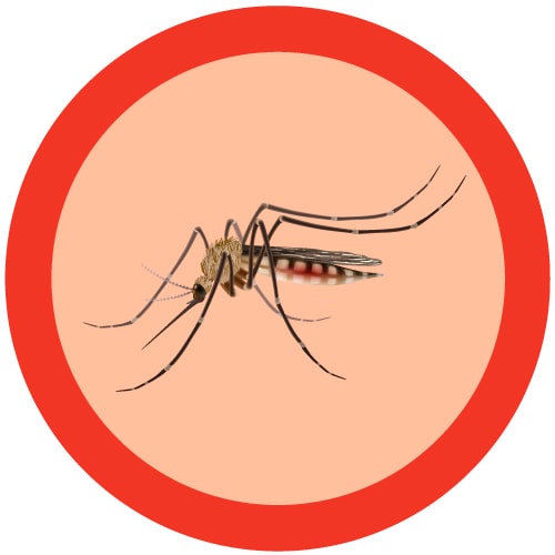 proteccion-contra-dengue-mosquito